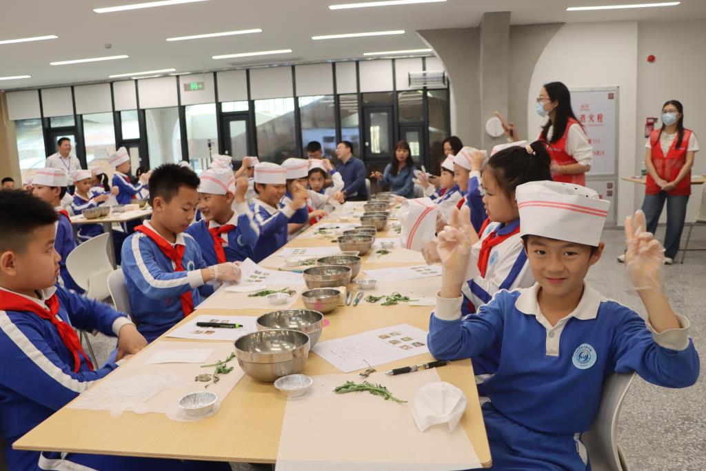 中医药+劳动教育，罗外小学师生解锁艾草青团新体验