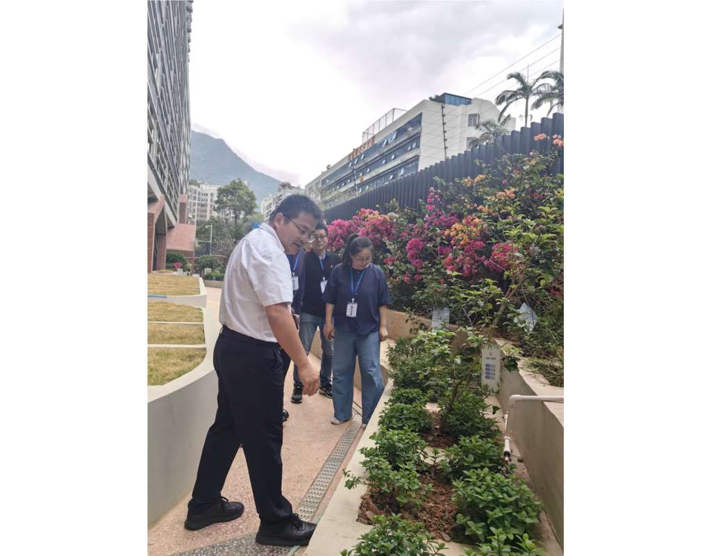 罗湖区中医院专家莅临罗湖外语小学指导中草药