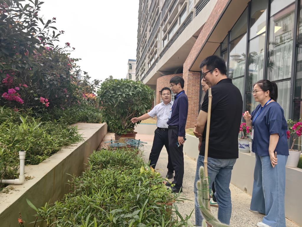 罗湖区中医院专家莅临罗湖外语小学指导中草药