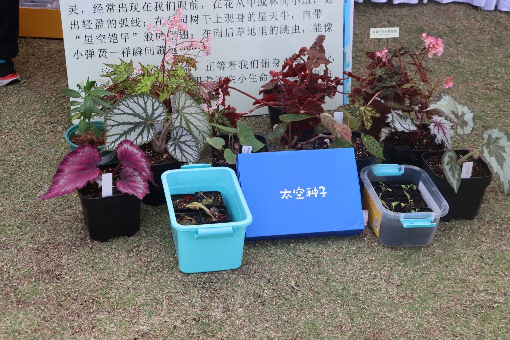罗湖外语小学参展2026大湾区自然教育嘉年华