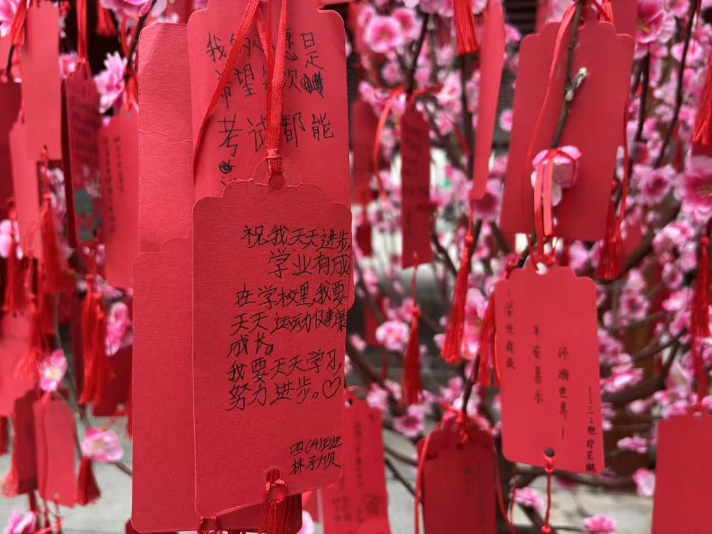 翠茵学校开学季温暖启航