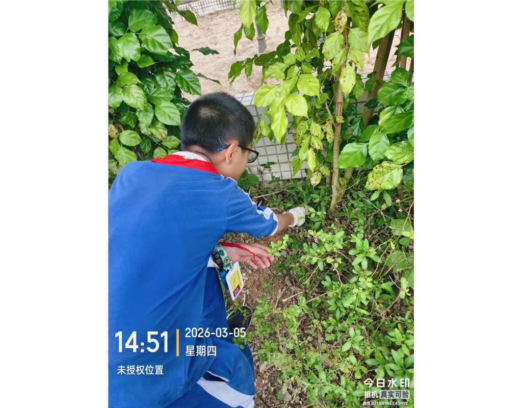 志愿者们清除垃圾