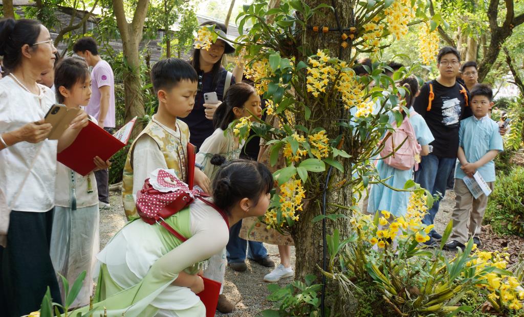 兰香亚太·喜迎盛会：2026深港青少年兰花科技文化嘉年华启幕