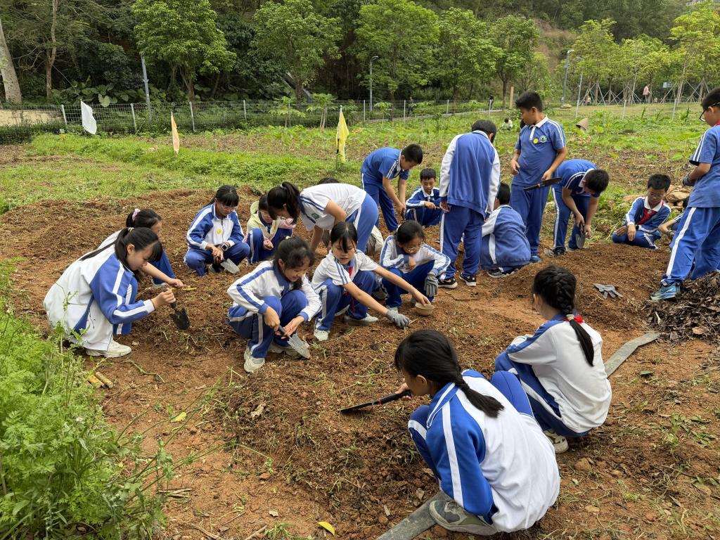 洪湖小学“知行四季”春季实践课程圆满收官