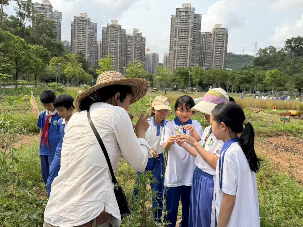 洪湖小学“知行四季”春季实践课程圆满收官