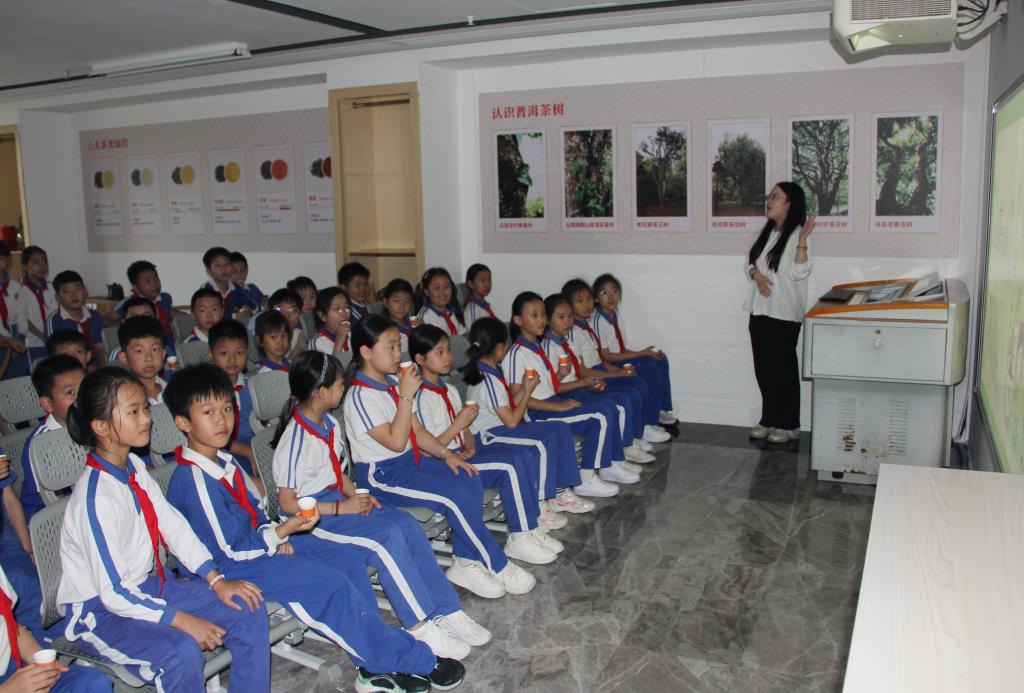 南湖小学“每周半天计划”走进粤港澳青少年爱国主义教育基地
