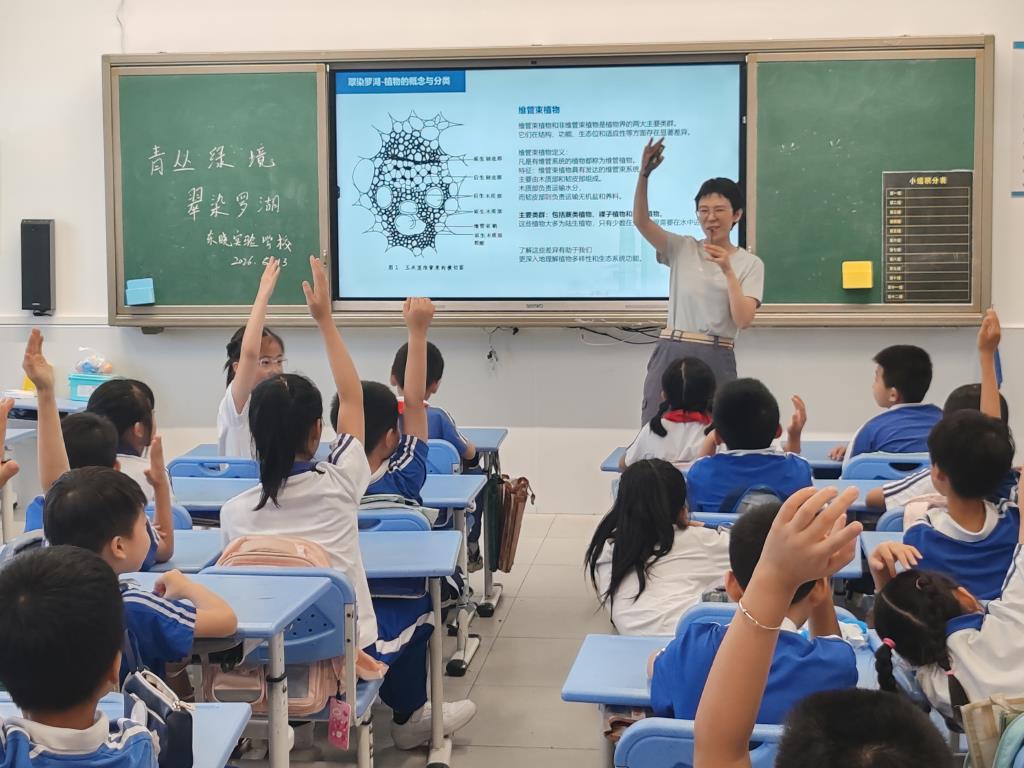 活动照片