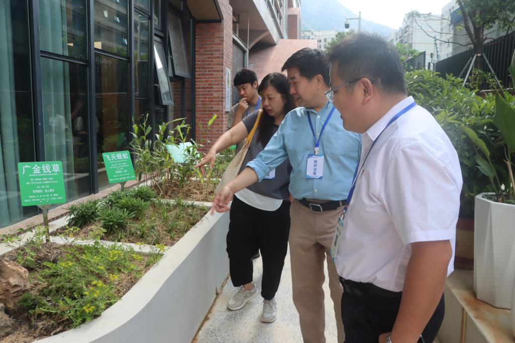 罗湖外语小学迎来香港蝴蝶保育专家团共探生态蝶育校园建设