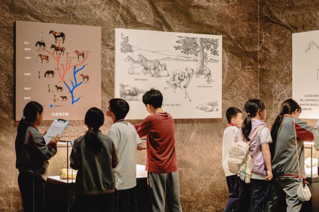 华美外国语学校研学走进深圳美术馆