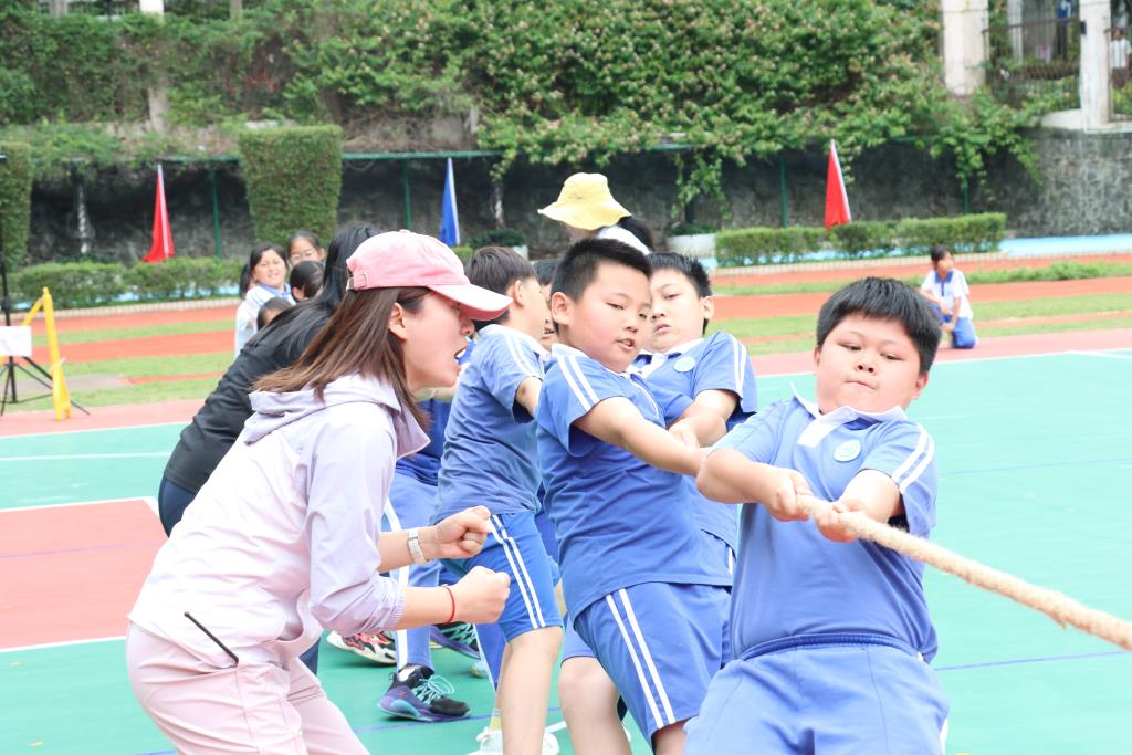 太白实验学校成功举办首届全员运动会