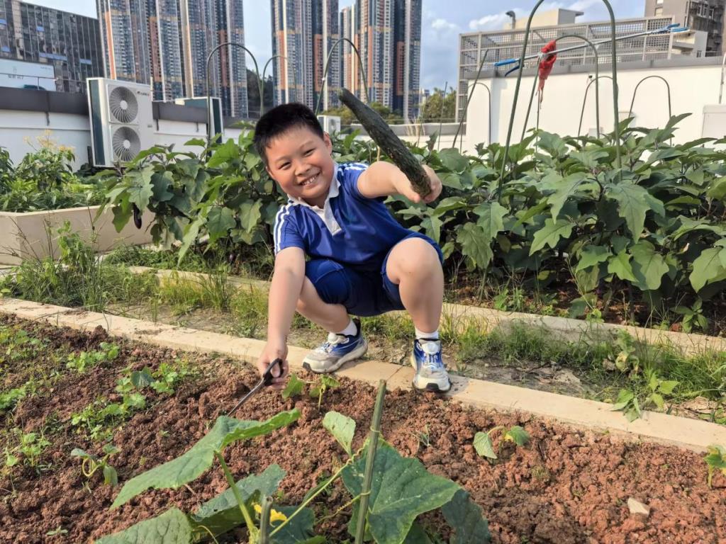 巧手润心 劳动悦美 —— 翠茵学校 2026 年春季劳动综合