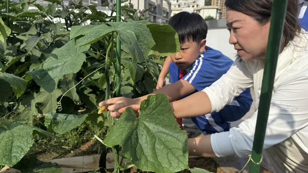 巧手润心 劳动悦美 —— 翠茵学校 2026 年春季劳动综合