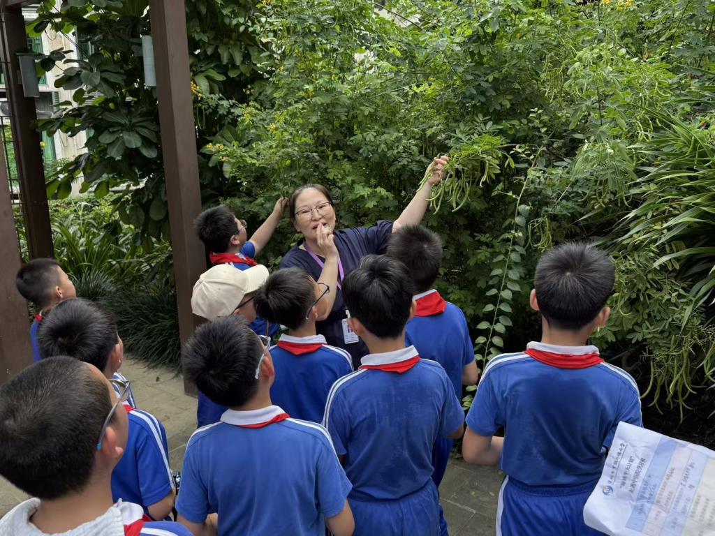 罗湖外语小学走进罗湖区中医院开展“传承国粹经典”中医研学之旅