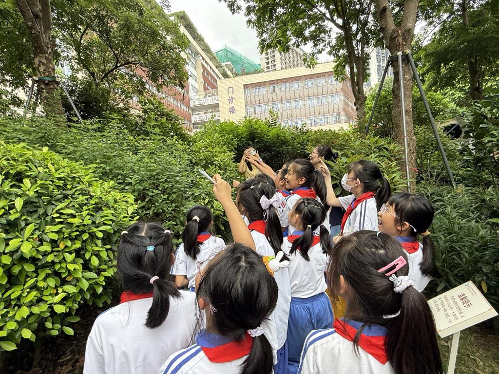 罗湖外语小学走进罗湖区中医院开展“传承国粹经典”中医研学之旅