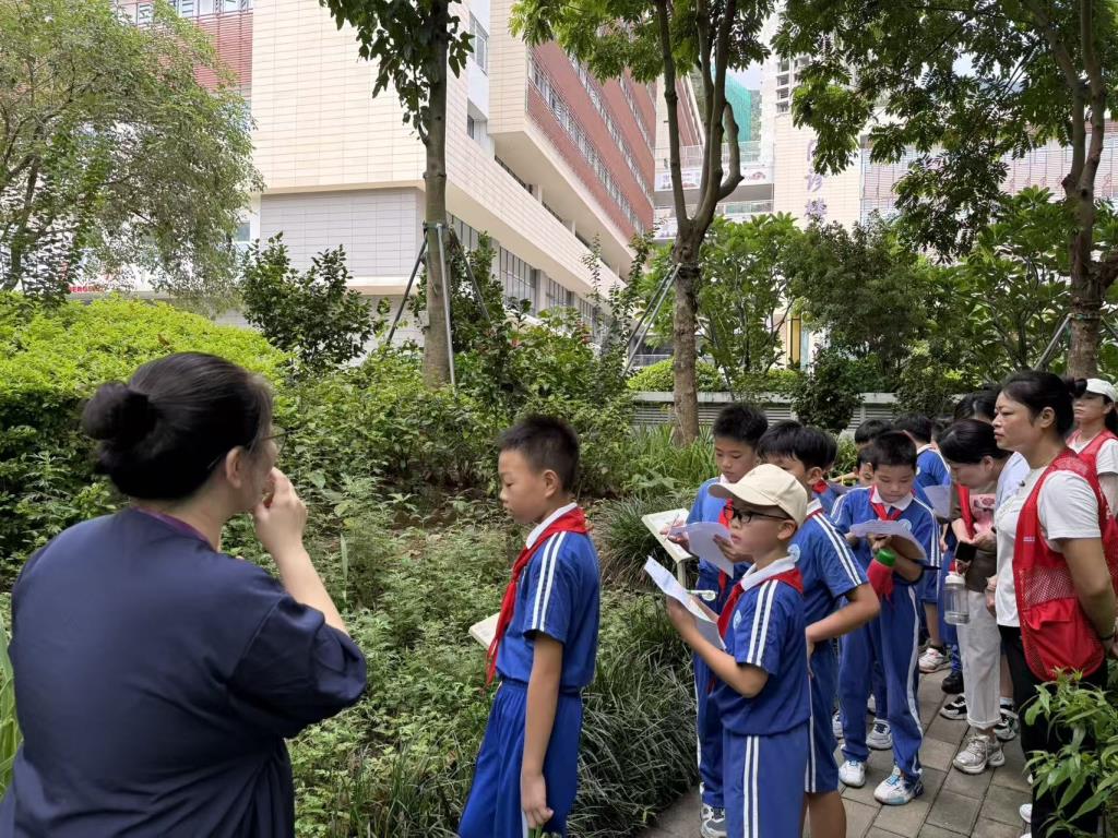 罗湖外语小学走进罗湖区中医院开展“传承国粹经典”中医研学之旅