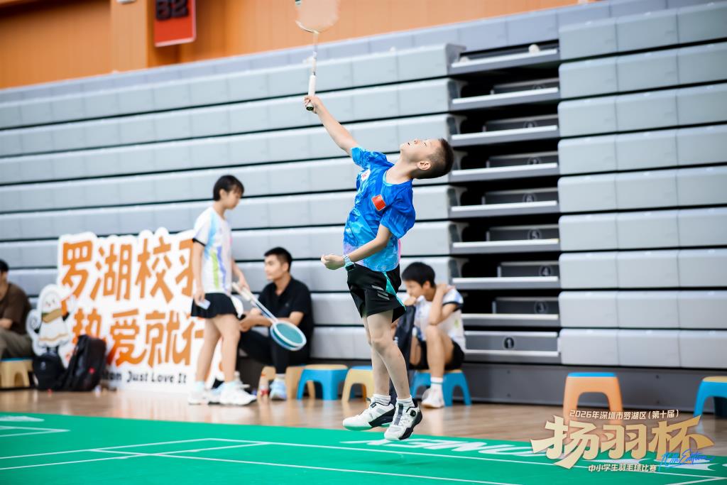 桃园小学学子征战第十届 “扬羽杯” 斩获多项荣誉