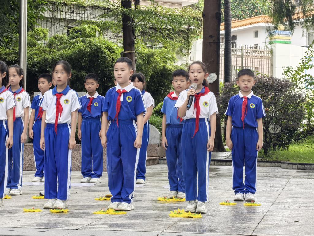 榕树下的思政课