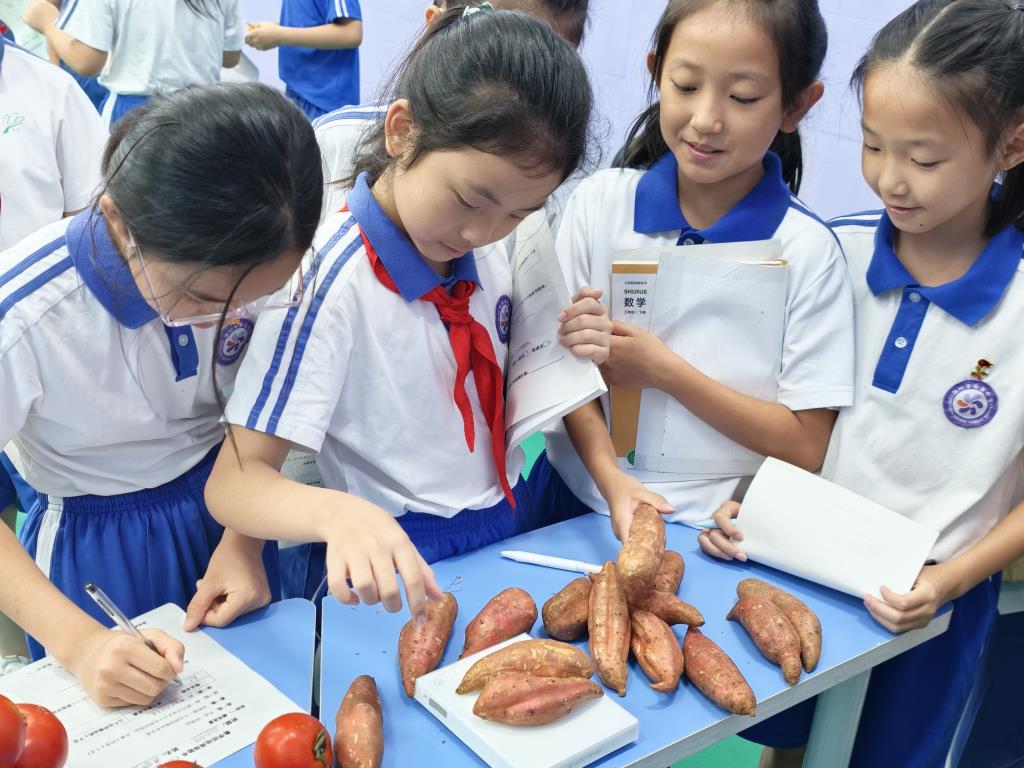 深圳市莲南教育集团安芳小学举办数学科创文化节
