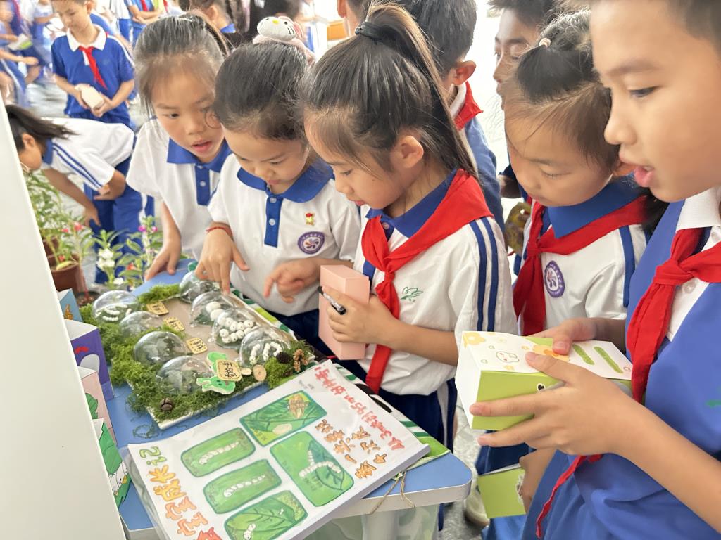 深圳市莲南教育集团安芳小学举办数学科创文化节