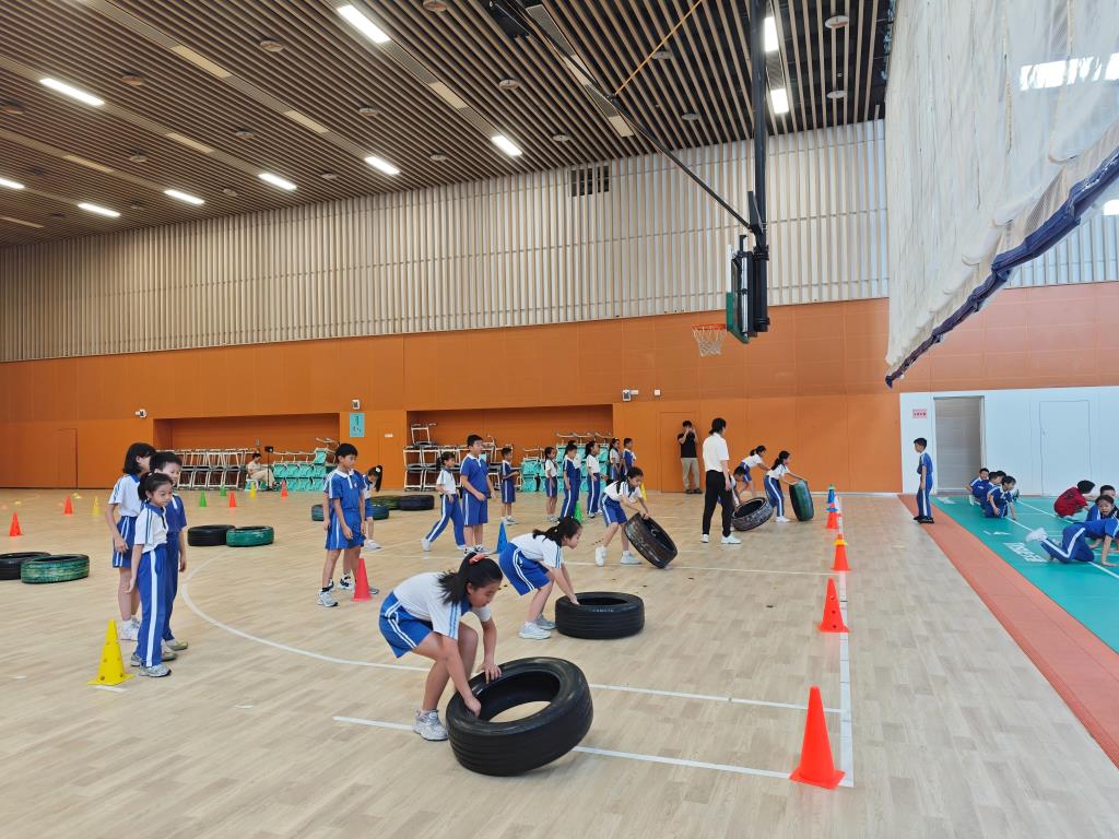 桃园小学体育科组“成蹊杯”教学大赛暨观摩展示活动圆满开展