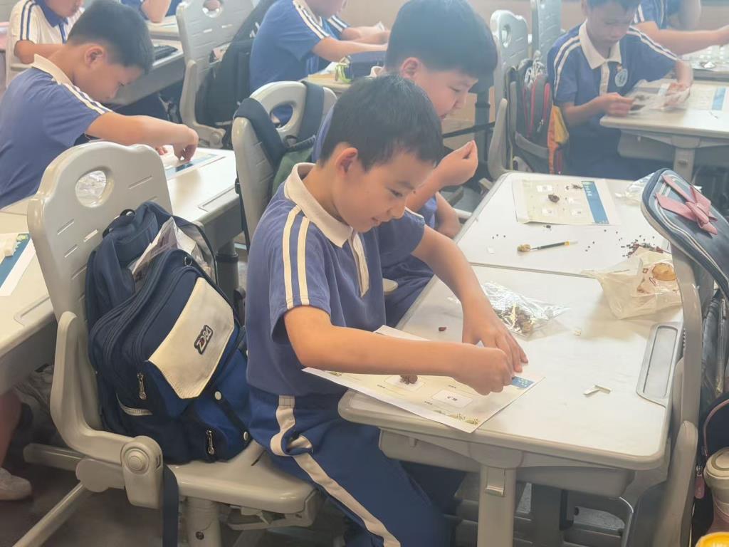 罗湖外语小学“一班级一中医”特色课程持续开展