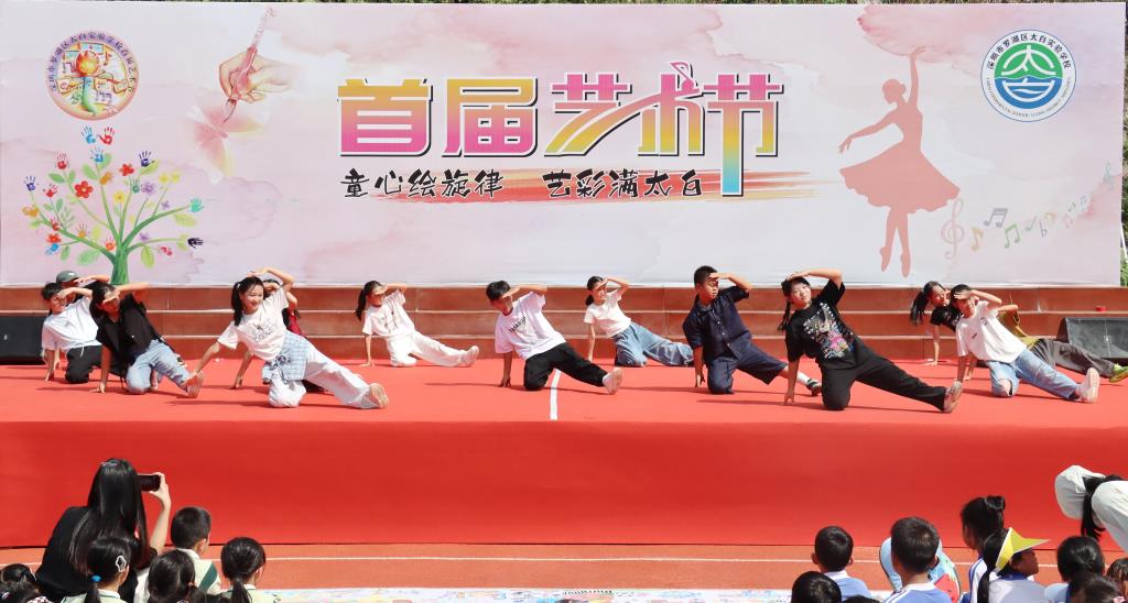 太白实验学校首届艺术节圆满落幕