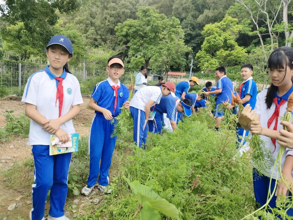 太白实验学校“每周半天计划”课程顺利开展