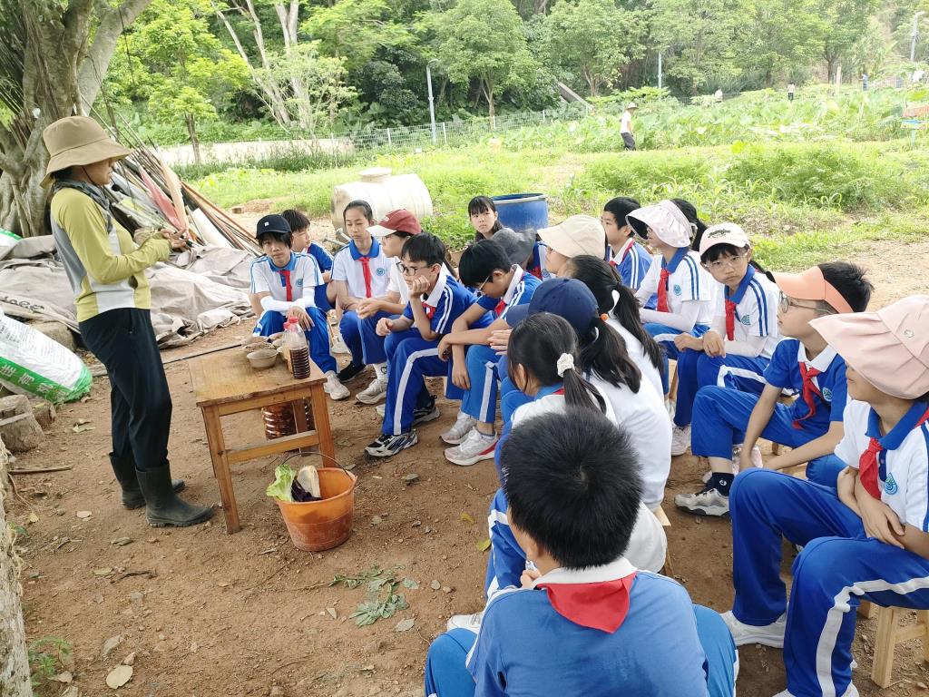 太白实验学校“每周半天计划”课程顺利开展