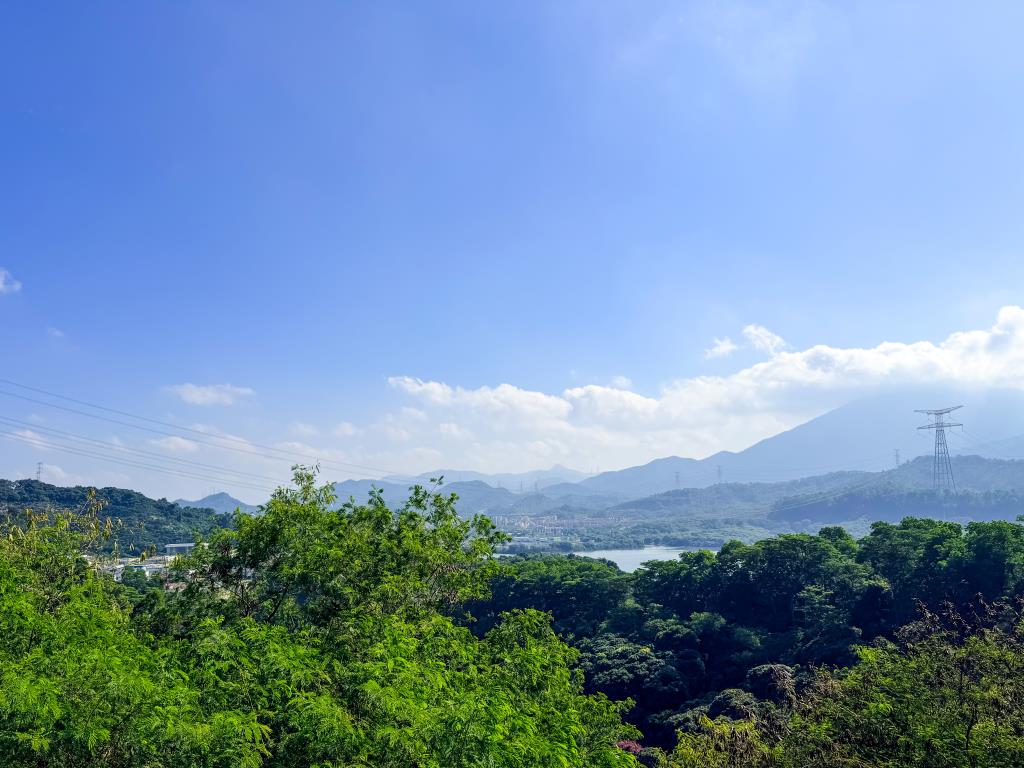 翠园文锦中学工会开展淘金山徒步团建活动