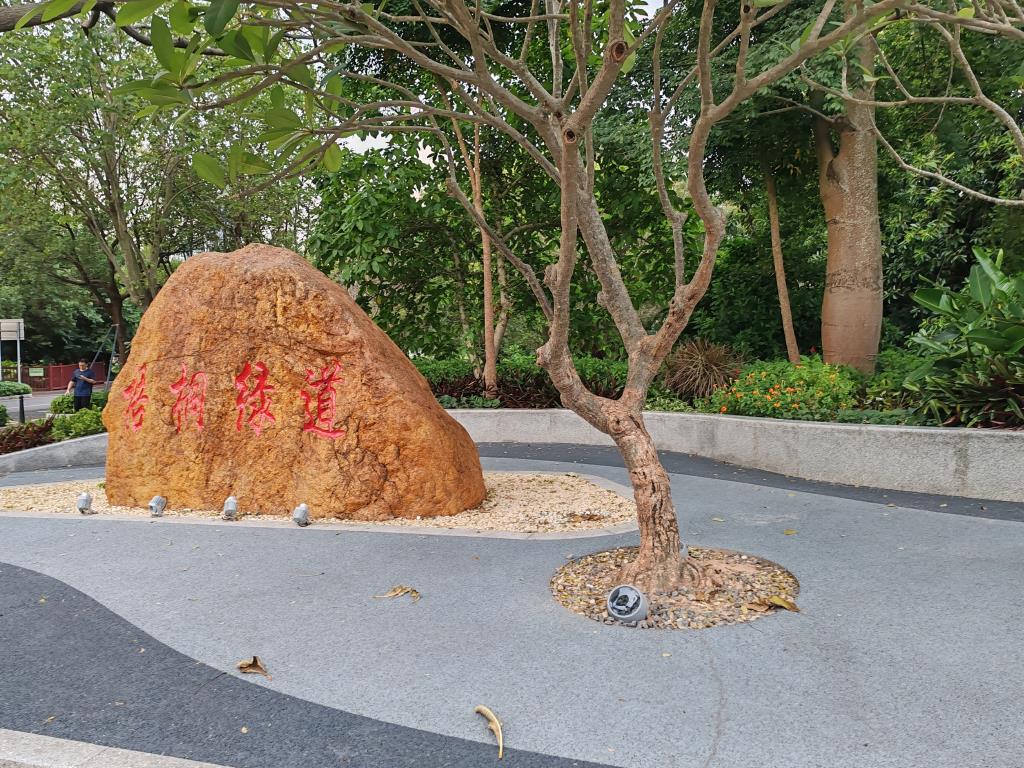 深圳市莲南教育集团安芳小学工会“青衿拾趣 绿动罗湖”徒步活动