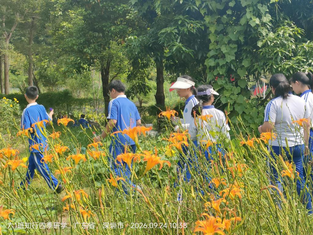 太白实验学校开启2026年秋季学期“每周半天计划”课程