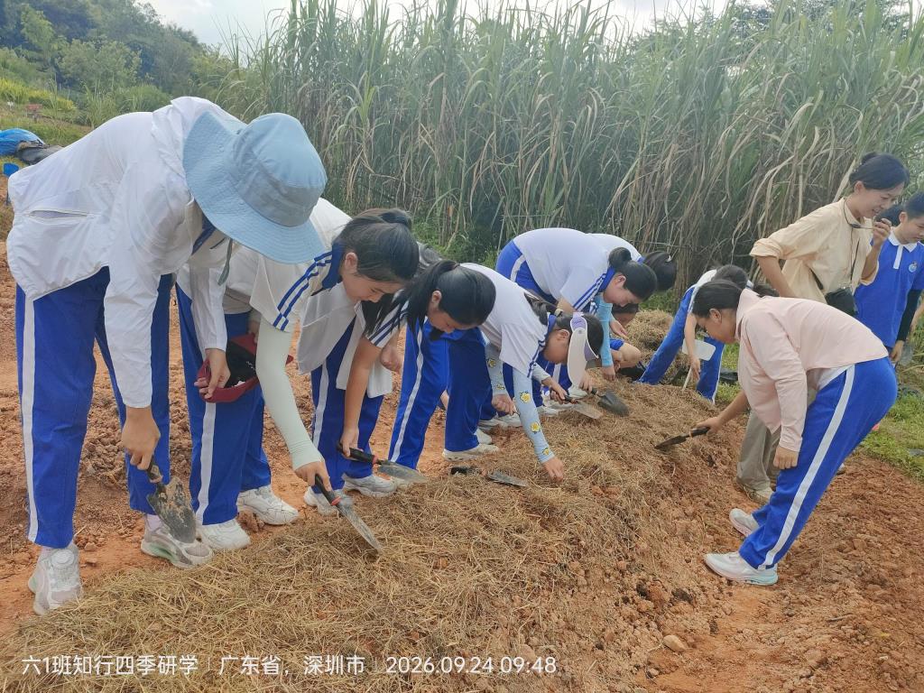 太白实验学校开启2026年秋季学期“每周半天计划”课程