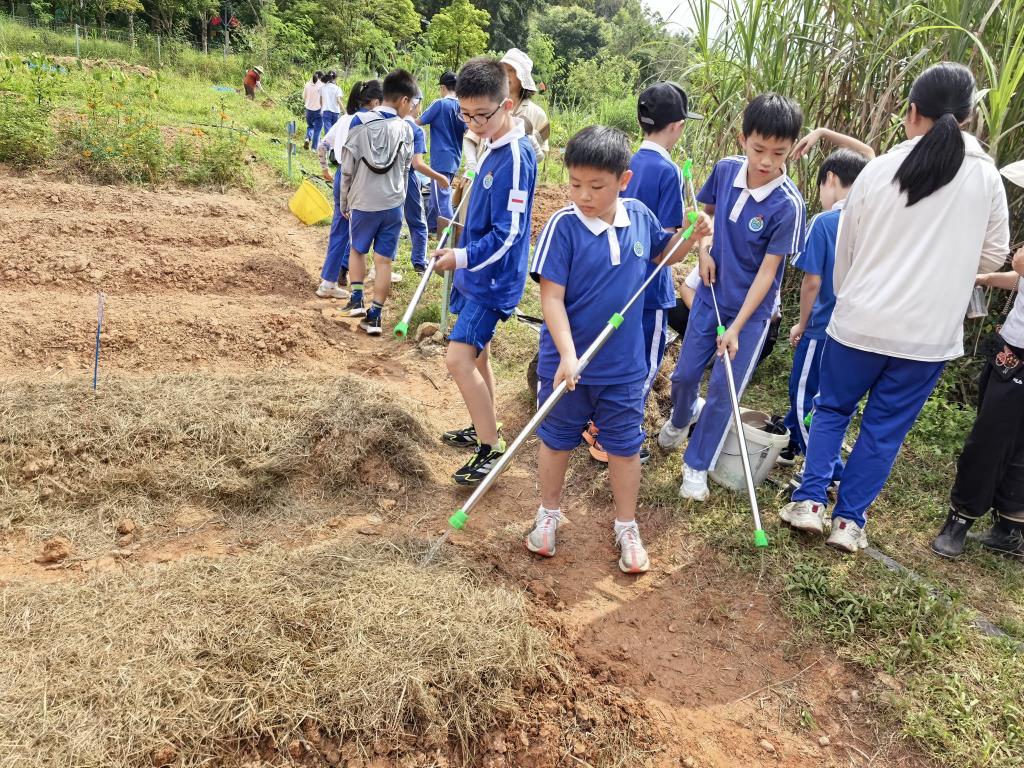 太白实验学校开启2026年秋季学期“每周半天计划”课程