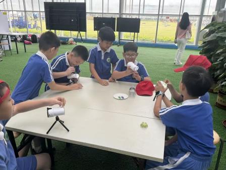 亲近生态田园，体验趣味活动——深圳市向西小学开展秋季社会实践活动
