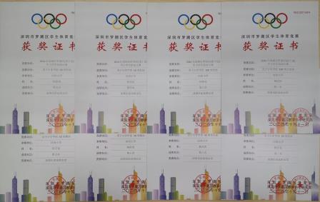 向西小学在2024年深圳市罗湖区中小学生游泳比赛中再获佳绩