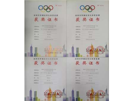 向西小学在2024年深圳市罗湖区中小学生游泳比赛中再获佳绩