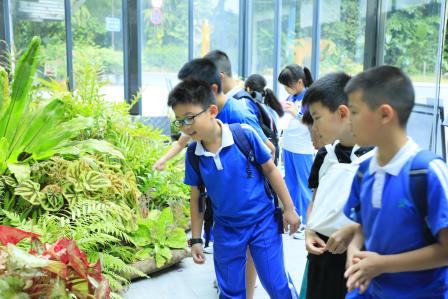 深圳市螺岭教育集团仙桐实验小学师生共赴仙湖植物园进行自然探索