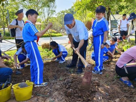  劳动励志，研学增慧  ——深圳市泰宁小学开展“金秋种植”翠湖文体公园研学实践活动