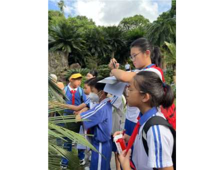 探寻苏铁植物繁衍奥秘 ——翠北实验小学“行走的思政课”（第17期）