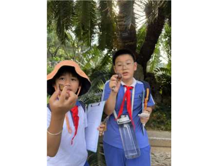 探寻苏铁植物繁衍奥秘 ——翠北实验小学“行走的思政课”（第17期）