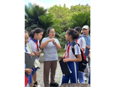 探寻苏铁植物繁衍奥秘 ——翠北实验小学“行走的思政课”（第17期）