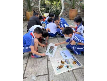 探寻苏铁植物繁衍奥秘 ——翠北实验小学“行走的思政课”（第17期）