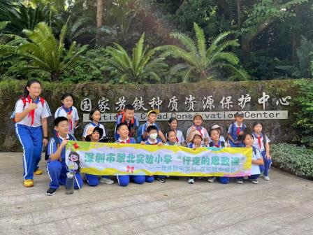探寻苏铁植物繁衍奥秘 ——翠北实验小学“行走的思政课”（第17期）