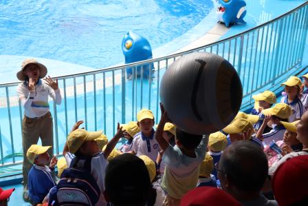 走进海底世界，探索海洋奥秘——深圳市莲南教育集团安芳小学开展秋季社会实践活动