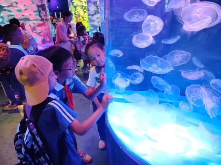 走进海底世界，探索海洋奥秘——深圳市莲南教育集团安芳小学开展秋季社会实践活动
