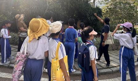 落叶寄情，山海情深 ——深圳市梧桐小学开展“山海自然生态校本课程之梧桐自然故事绘第三期”研学活动