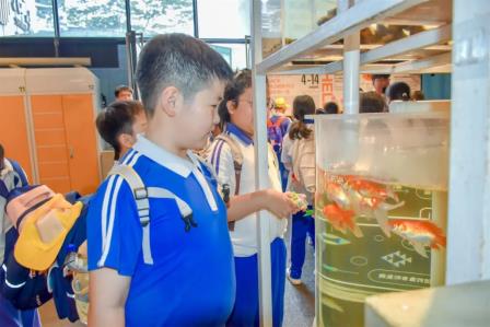 深圳市怡景小学4-6年级开展万思未来馆研学活动