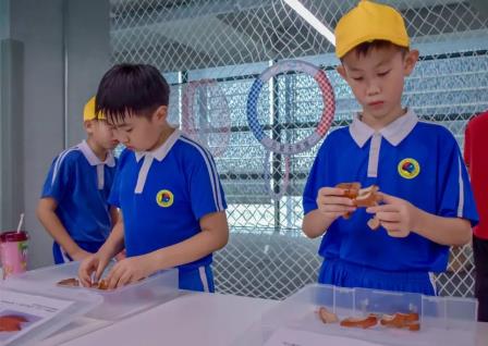 深圳市怡景小学4-6年级开展万思未来馆研学活动