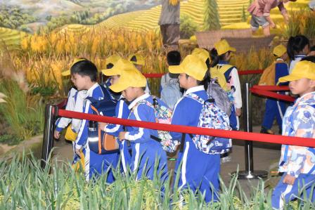 田园研学启心智 知行合一促成长——深圳市人民小学开展一至三年级社会实践活动