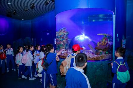 红岭小学·开心课程｜探索蓝色奥秘，共筑海洋梦想